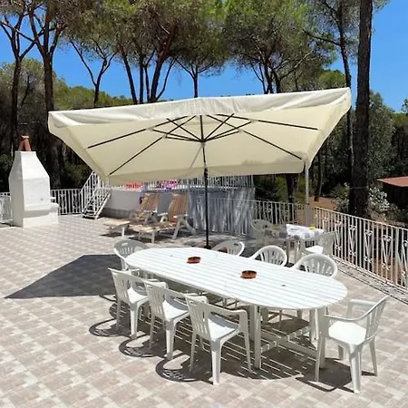 Guest house Riva Dei Pini House *